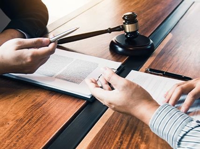 Asset Protection Image